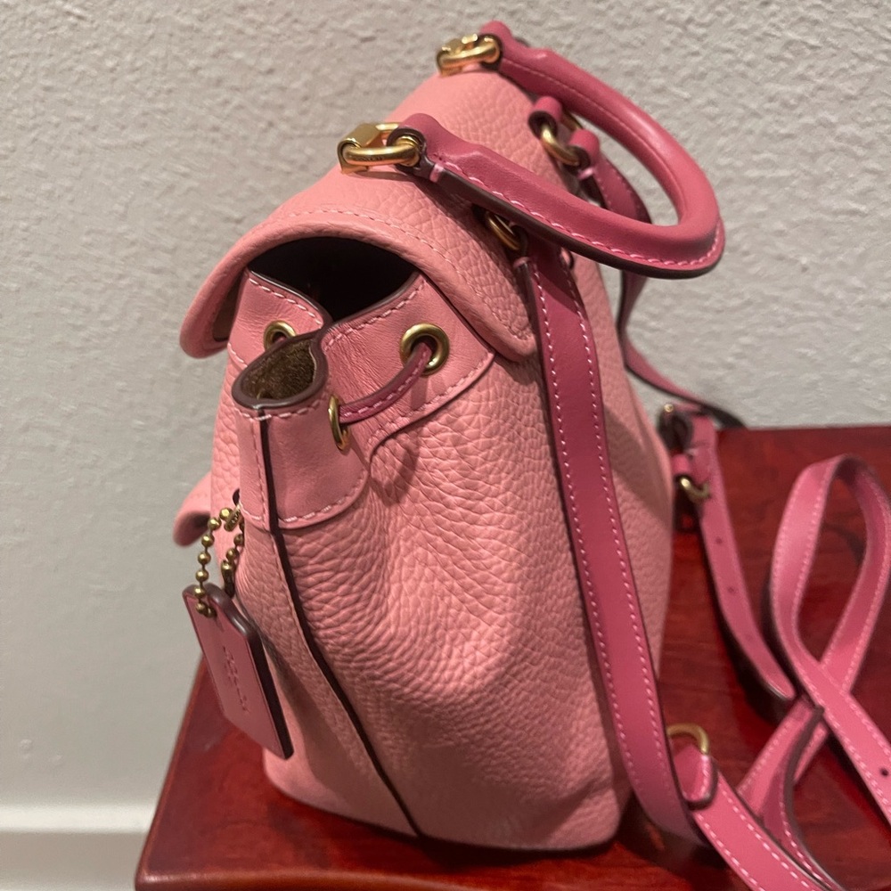 SOLD…….Coach Riya - Picture 4 of 4